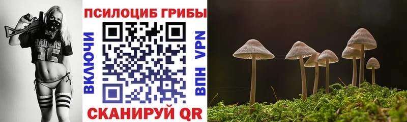 купить наркоту  Кстово  Псилоцибиновые грибы GOLDEN TEACHER 